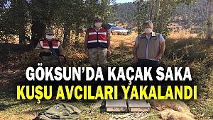 Göksun’da kaçak Saka kuşu avcıları yakalandı