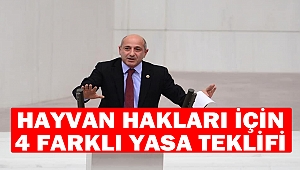Hayvan hakları için 4 farklı yasa teklifi