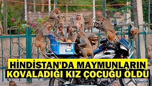 Hindistan'da maymunların kovaladığı kız çocuğu öldü