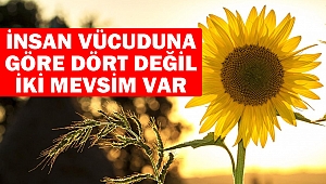  İnsan vücuduna göre dört değil, iki mevsim var