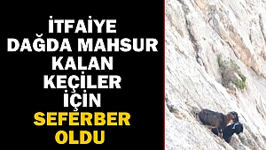 İtfaiye dağda mahsur kalan keçiler için seferber oldu