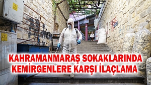 Kahramanmaraş Sokaklarında Kemirgenlere Karşı İlaçlama