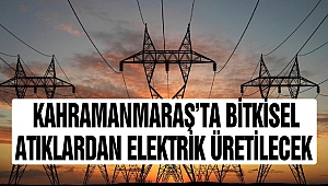 Kahramanmaraş’ta bitkisel atıklardan elektrik üretilecek
