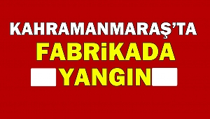 Kahramanmaraş'ta Fabrikada Yangın