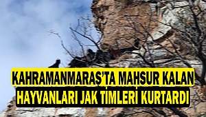 Kahramanmaraş’ta Mahsur Kalan Hayvanları JAK Timleri Kurtardı