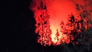 Kahramanmaraş’ta orman yangını kontrol altına alındı