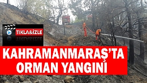 Kahramanmaraş'ta orman yangını