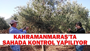 Kahramanmaraş’ta Sahada Kontrol Yapılıyor