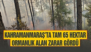 Kahramanmaraş'ta Tam 65 Hektar Ormanlık Alan Zarar Gördü 