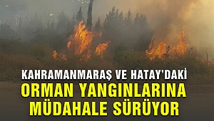 Kahramanmaraş ve Hatay’daki Orman Yangınlarına Müdahale Sürüyor