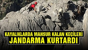 Kayalıklarda Mahsur Kalan Keçileri Jandarma Kurtardı