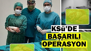 KSÜ’de başarılı operasyon