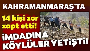 Tarlada çalışan çiftçi neye uğradığını şaşırdı! 14 kişi güçlükle tuttu!