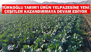 Türkoğlu Tarım'ı Ürün Yelpazesine Yeni Çeşitler Kazandırmaya Devam Ediyor