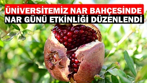 Üniversitemiz Nar Bahçesinde Nar Günü Etkinliği Düzenlendi
