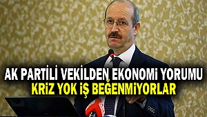 AK Partili vekilden ekonomi yorumu: Kriz yok, iş beğenmiyorlar
