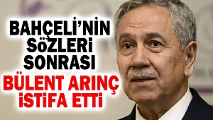 Bülent Arınç İstifa Etti