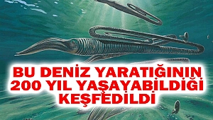 Deniz yaratığı 200 yıl yaşayabildiği keşfedildi