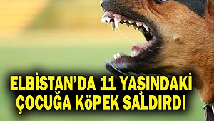Elbistan'da 11 yaşındaki Çocuğa Köpek Saldırdı