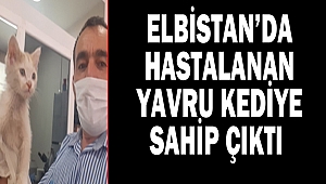 Elbistan’da Hastalanan yavru kediye sahip çıktı