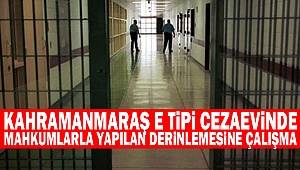 Kahramanmaraş E tipi cezaevinde Mahkumlarla Yapılan Derinlemesine Çalışma