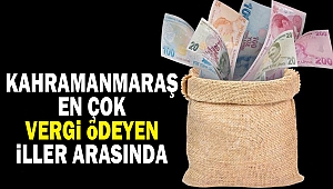 Kahramanmaraş En Çok Vergi Ödeyen İller Arasında