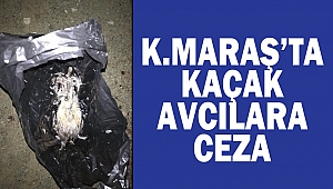 Kahramanmaraş’ta kaçak avcılara ceza