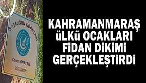 Kahramanmaraş Ülkü Ocakları Fidan Dikimi Gerçekleştirdi