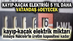 Kayıp-Kaçak Elektriği 5 Yıl Daha Vatandaş Ödeyecek