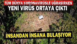 Tüm dünya koronavirüsle uğraşırken, yeni virüs ortaya çıktı