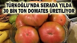 Türkoğlu’nda serada yılda 30 bin ton domates üretiliyor