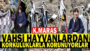 Vahşi Hayvanlardan Korkuluklarla Korunuyorlar