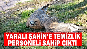Yaralı Şahin’e temizlik personeli sahip çıktı