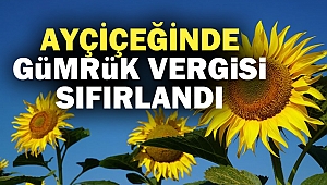 Ayçiçeğinde gümrük vergisi sıfırlandı