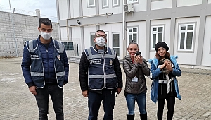 Doğa ve hayvanları koruma polisleri, sokak hayvanları için görevde