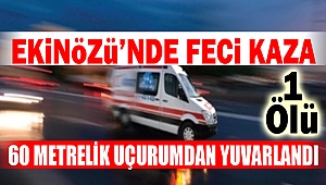 Ekinözü’nde Feci Kaza: 60 Metrelik Uçurumdan Yuvarlandı