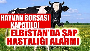 Elbistan’da Şap Hastalığı Alarmı
