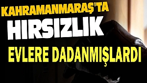 Evlere Dadanan Hırsızları Jandarma Yakaladı