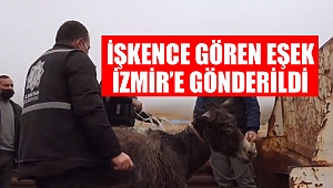 İşkence Gören Eşek İzmir’e Gönderildi