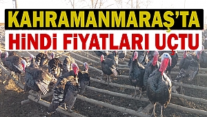 Kahramanmaraş’ta hindi fiyatları uçtu