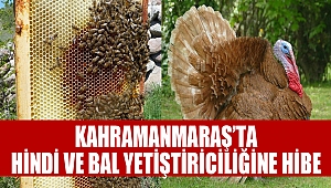 Kahramanmaraş’ta Hindi ve Bal Yetiştiriciliğine Hibe