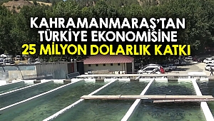 Kahramanmaraş’tan Türkiye ekonomisine 25 Milyon dolarlık katkı