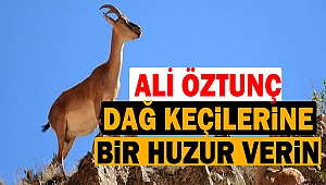 Öztunç: Dağ Keçilerine, Bir Huzur Verin
