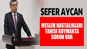 Sefer Aycan “Meslek hastalıkları tanısı koymakta sorun var”