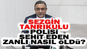 Sezgin Tanrıkulu: Polis şehit eden zanlı nasıl öldü?