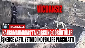 SON DAKİKA... Bağladığı eşeğe dakikalarca işkence etti