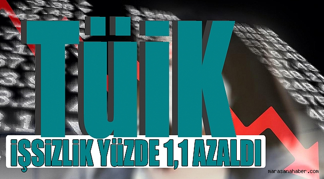 TÜİK: İşsizlik yüzde 1,1 azaldı
