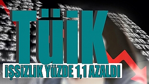 TÜİK: İşsizlik yüzde 1,1 azaldı