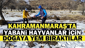 Yabani hayvanlar için doğaya yem bıraktılar