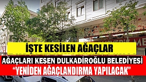 Ağaçları Kesen Dulkadiroğlu Belediyesi 